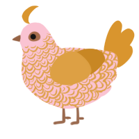 A rose and orange chicken with a double-lace pattern