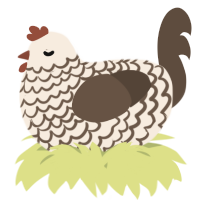 A cream and bark chicken with a lace pattern