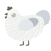 A white and mist chicken with a lace pattern