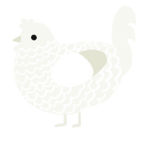 A white chicken with a lace pattern