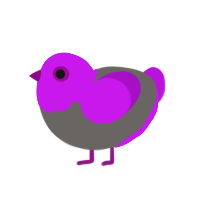 (unnamed), a grey and amethyst chicken with a head pattern