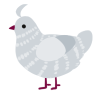 A mist chicken with a bar pattern