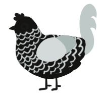 A black and silver chicken with a lace pattern