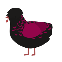 A sable and maroon chicken with a half-lace pattern