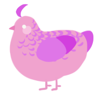 A pink and orchid chicken with a half-lace pattern
