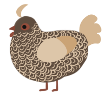 A bark and beige chicken with a double-lace pattern