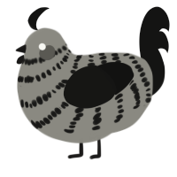 A ash and black chicken with a bar pattern
