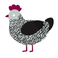 A silver and sable chicken with a double-lace pattern