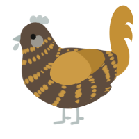 A bark and gold chicken with a bar pattern