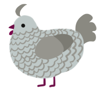 A silver and ash chicken with a lace pattern