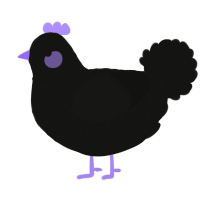 A black chicken with a lace pattern