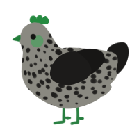 A ash and sable chicken with a speckle pattern