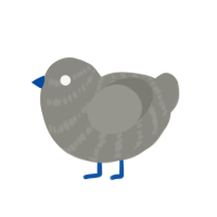 Shale, a ash chicken with a bar pattern