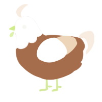 A brown and cream chicken with a head pattern