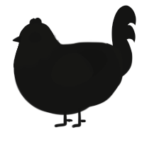 A black chicken with a head pattern