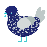 A navy and silver chicken with a speckle pattern