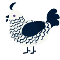 A white and tumblr chicken with a lace pattern
