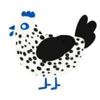 A white and black chicken with a speckle pattern