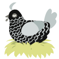 A black and silver chicken with a lace pattern