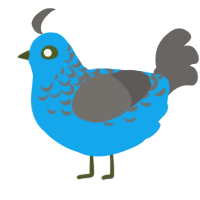 A sky and grey chicken with a half-lace pattern