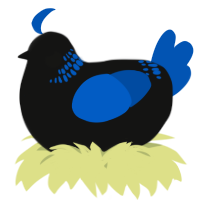 A black and ultramarine chicken with a neck-band pattern