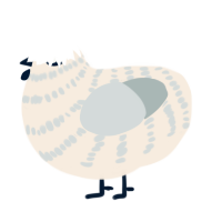 A cream and silver chicken with a bar pattern