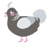 A grey and mist chicken with a neck-band pattern