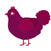 A wine and maroon chicken with a neck-band pattern