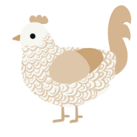 A white and beige chicken with a double-lace pattern