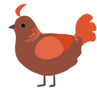 A russet and vermilion chicken with a neck-band pattern