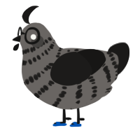 A grey and sable chicken with a bar pattern