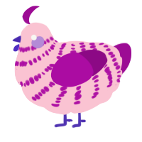 A rose and plum chicken with a bar pattern