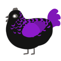 A black and violet chicken with a half-lace pattern