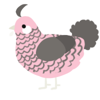 A rose and grey chicken with a lace pattern