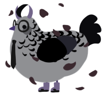 A ash and white chicken with a half-lace pattern