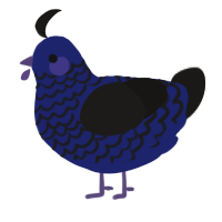 A navy and sable chicken with a lace pattern