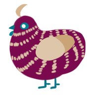 grenache, a wine and beige chicken with a bar pattern