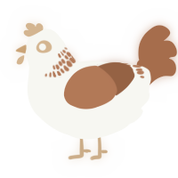 A white and brown chicken with a neck-band pattern