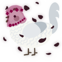 A white and mist chicken with a lace pattern