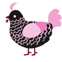 A sable and pink chicken with a lace pattern