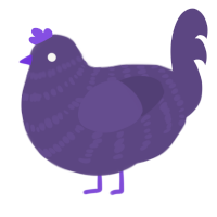 A overcast chicken with a bar pattern