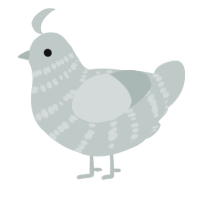 A silver chicken with a bar pattern