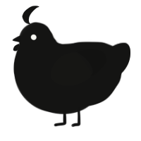 A black chicken