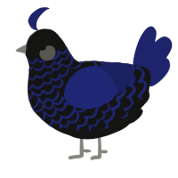 A black and navy chicken with a lace pattern