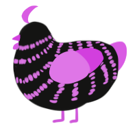 A black and orchid chicken with a bar pattern