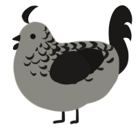 A ash and sable chicken with a half-lace pattern