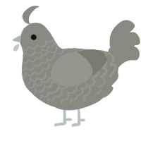 A ash chicken with a lace pattern