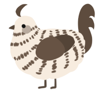 A cream and bark chicken with a bar pattern