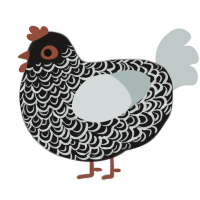 A sable and silver chicken with a double-lace pattern