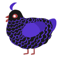 A sable and indigo chicken with a lace pattern